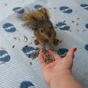 Meet your Posher, Jenni